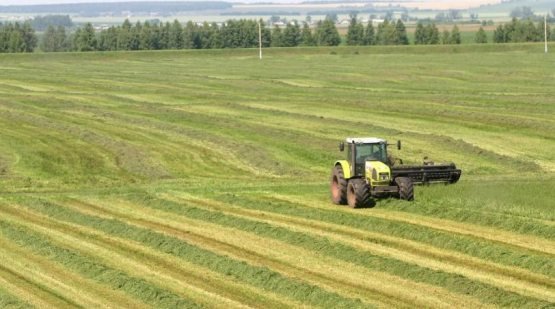 Davlat mulki xaridoriga mulk huquqini tasdiqlovchi davlat orderi beriladi