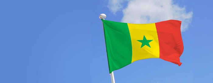 Senegalda prezident saylovini o‘tkazish talabi bilan ommaviy namoyish bo‘lib o‘tdi